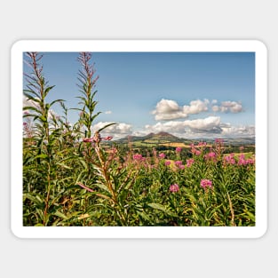 Eildon Hills - Scotland Sticker